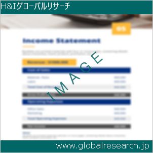 グローバルリサーチ調査レポートのイメージ